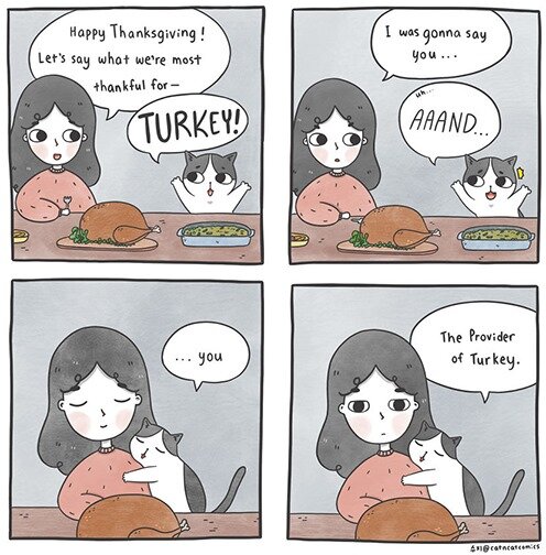 CatProviderofTurkey.jpg.7778159a572bfb4ad64a7cd3f0f0cdab.jpg