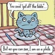 CatTablePlat.jpg.05bbdfa898053ad9a4ea64bcad457e49.jpg