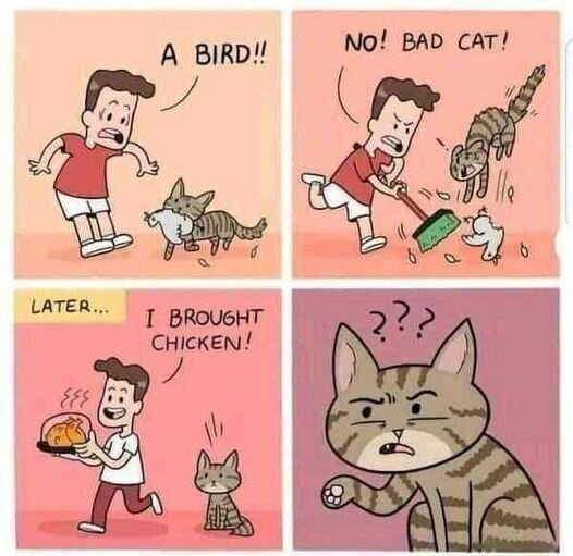 Catbadbirdgood.jpg.fac5d484c92be6fa40f0a30ee273c9e4.jpg