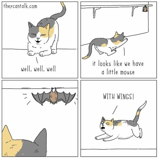 Catmousewithwings.jpg.907003c1d3995c3fbfef0b82034c9d88.jpg