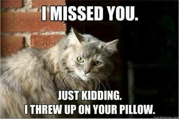 IMissedYou.jpg.430ca5057c7c03a418959283aec32db5.jpg
