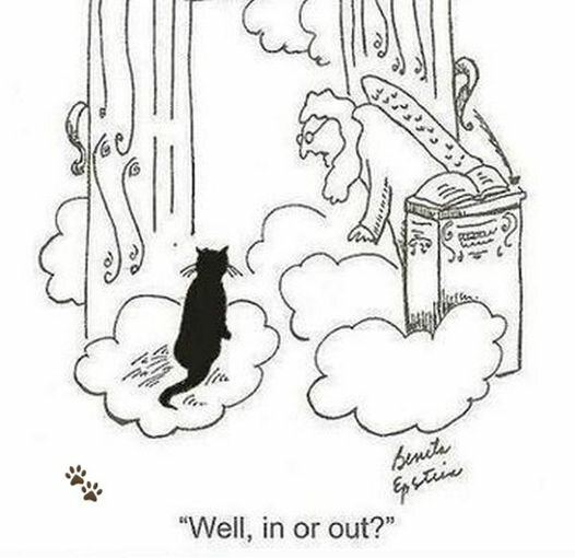 KittyHeaven.jpg.846af3010329841d2fab3a75c6770d0b.jpg