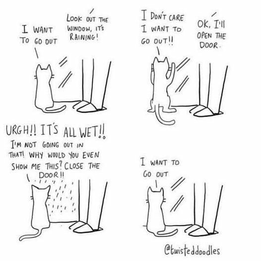 KittyOut.jpg.0f55ae82473ae7aed7fb231013abd507.jpg