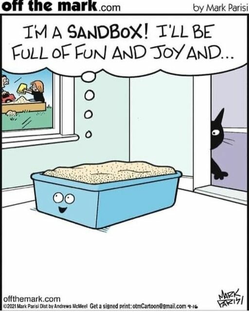 KittySandbox.jpg.74df08bce1de3f3b9aebfb85224c006e.jpg