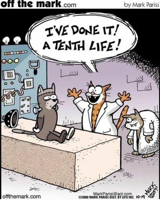 MeowTenLives.jpg.e9e3f4d39e3f79279b975f314171425e.jpg