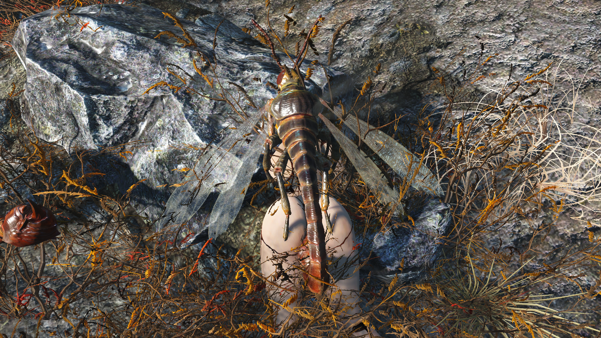 ScreenShot1041.png.efb4011d82607d1c8bef5807f0d72853.png