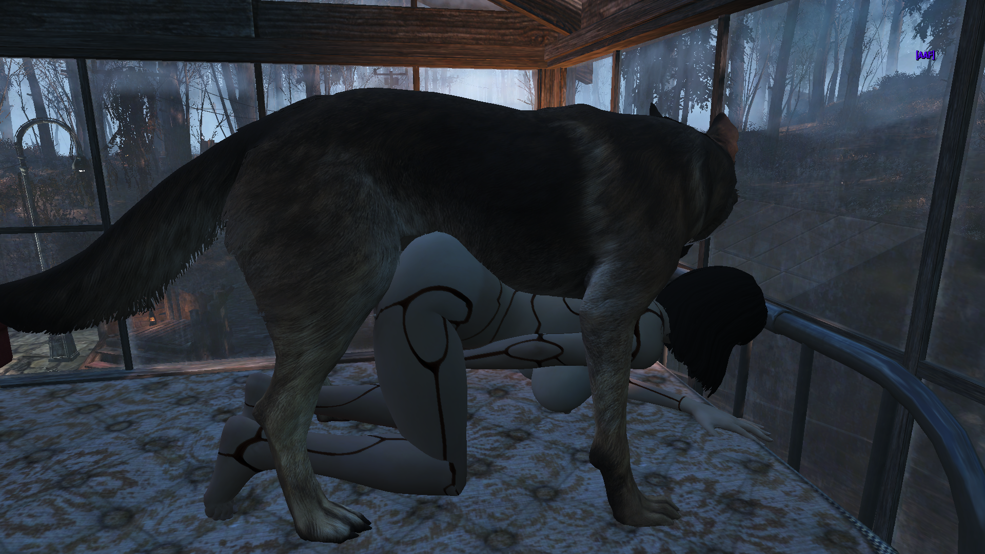 ScreenShot1316.png.687a60160e8e69740575930705a93afa.png