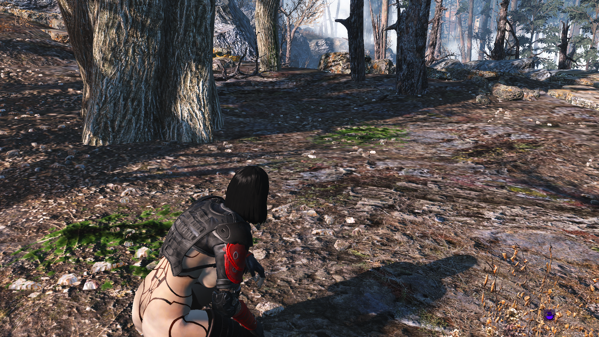 ScreenShot1423.png.826b62448d934211eaa4fc1ac5158e0f.png
