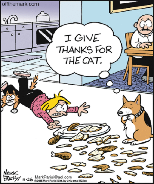 ThanksfortheCat.png.f800489e4b5025b5ee23e597b3219d6a.png