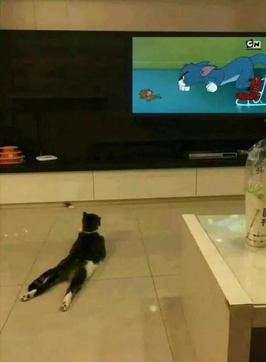 TomandJerry.jpg.1ef1e4ccec4f457ee8c525ae03b3e69f.jpg