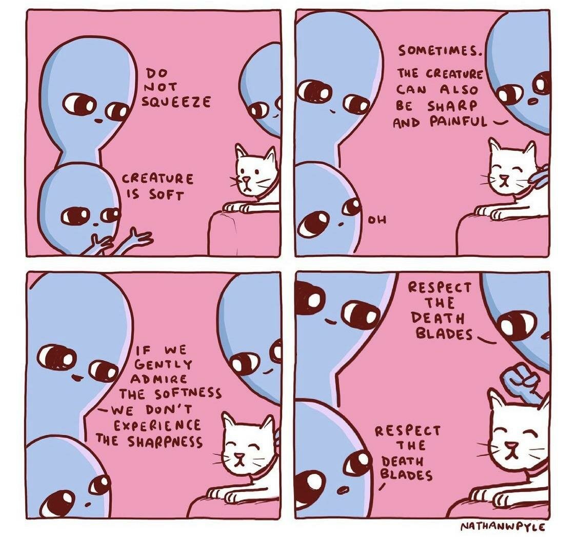 7NRuTEW.jpg.a35e06211737006fe58228929bcbeba3.jpg