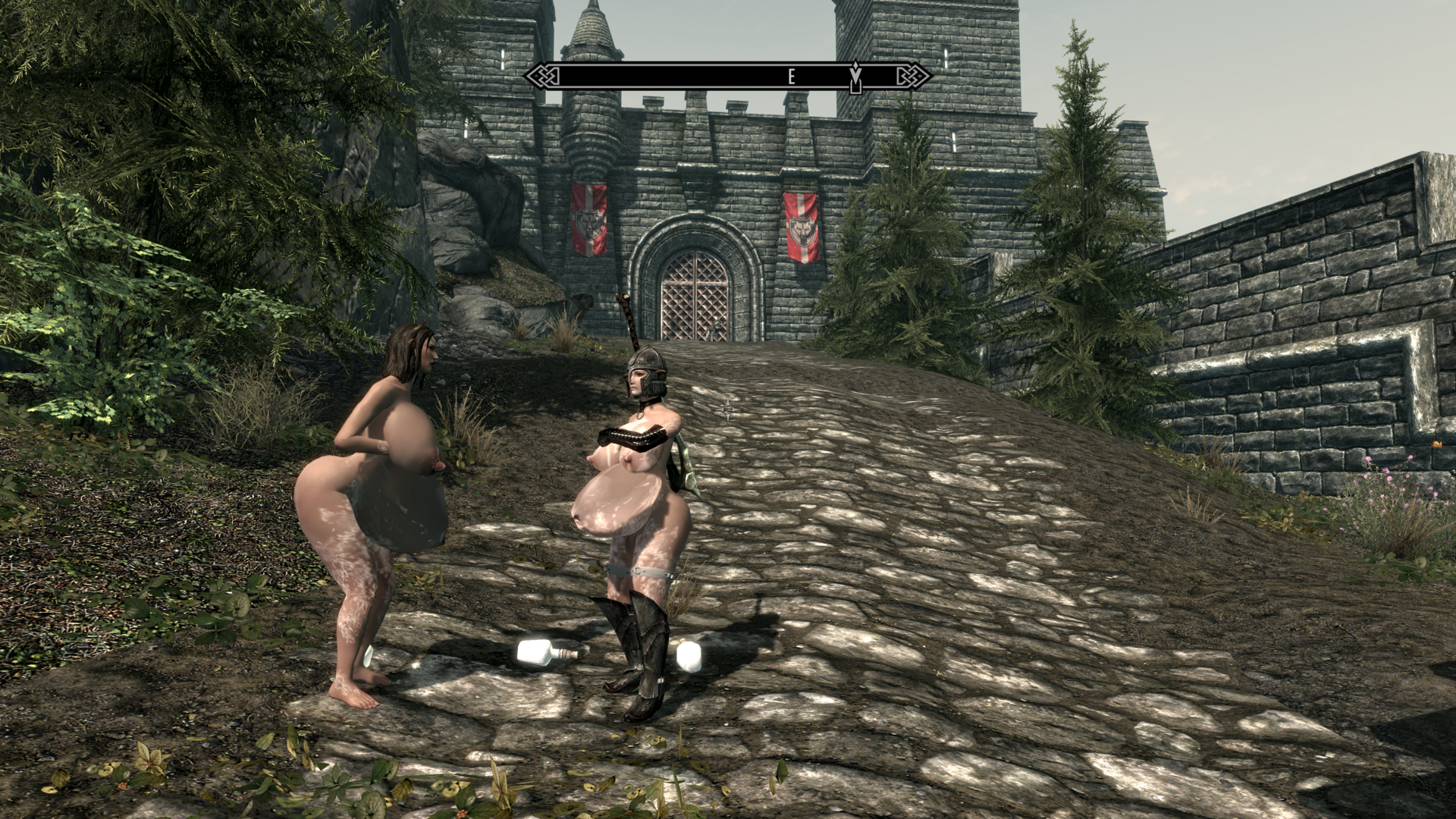 Skyrim 12_15_2021 7_49_22 AM.png