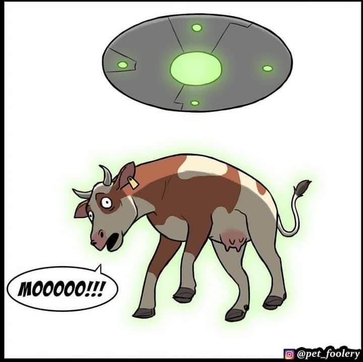 Aliens2.jpg.d19e19294cdb84b6961601fac8699a5a.jpg