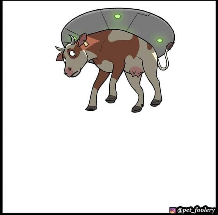 Aliens3.jpg.43db1329bf2765be7b79f40a31c0cff5.jpg