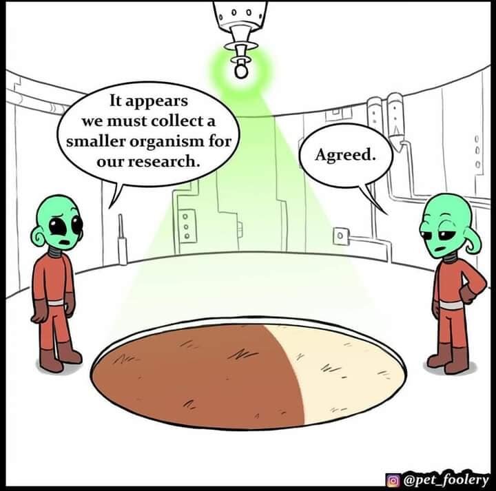 Aliens5.jpg.bfc908146b45cbf5fa406a4bc0f8e1bb.jpg