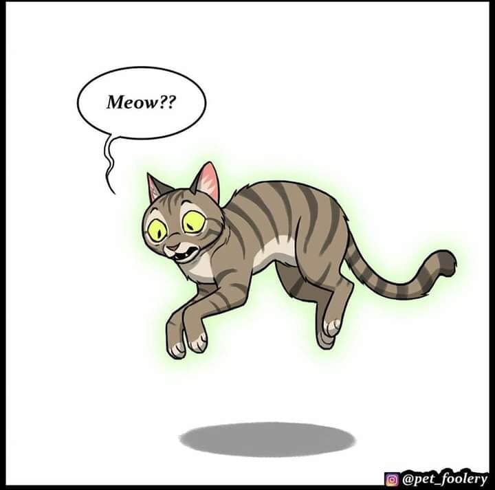 Aliens6.jpg.ec9f503da0d046666416e8a34297d11a.jpg