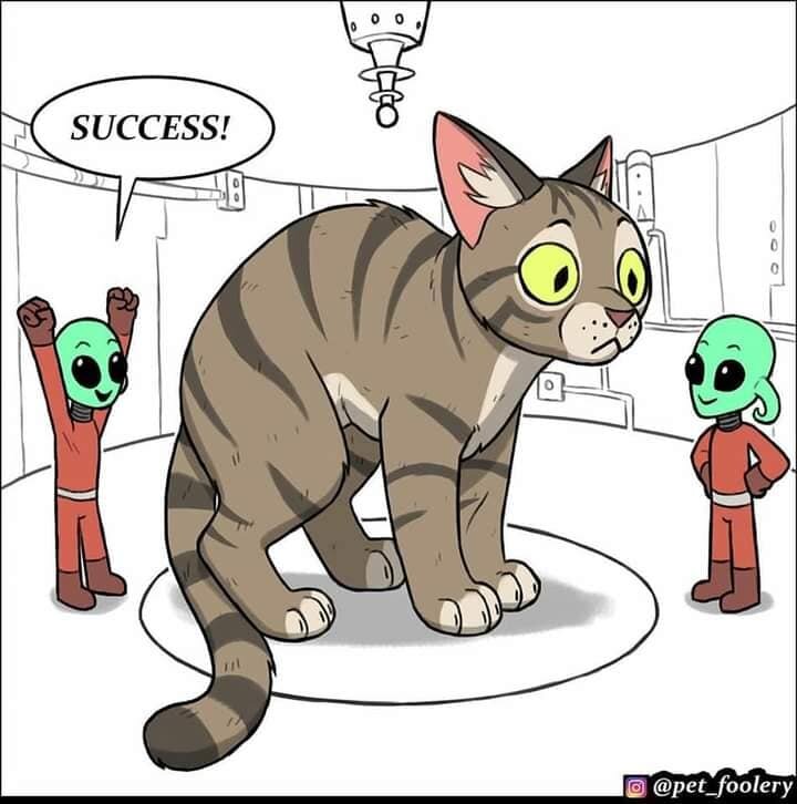 Aliens7.jpg.6af38fcc214659b58f8d661cc03ac088.jpg