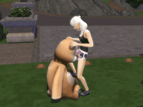 Bear_cuni_new.gif