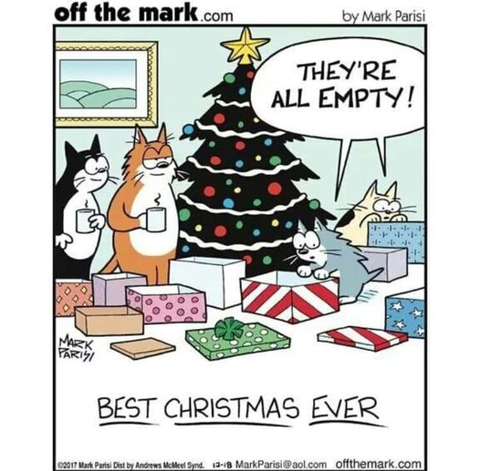 CatBestChristmas.png.0ffaa1b1cddb5b6eaf74c1aa75921d8f.png
