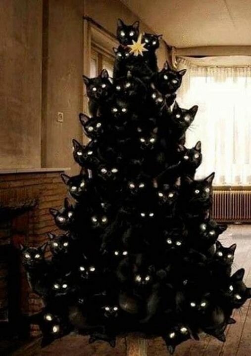 CatBlackChristmasTree.jpg.fa7627acef31e9c666868a38900b0eb7.jpg