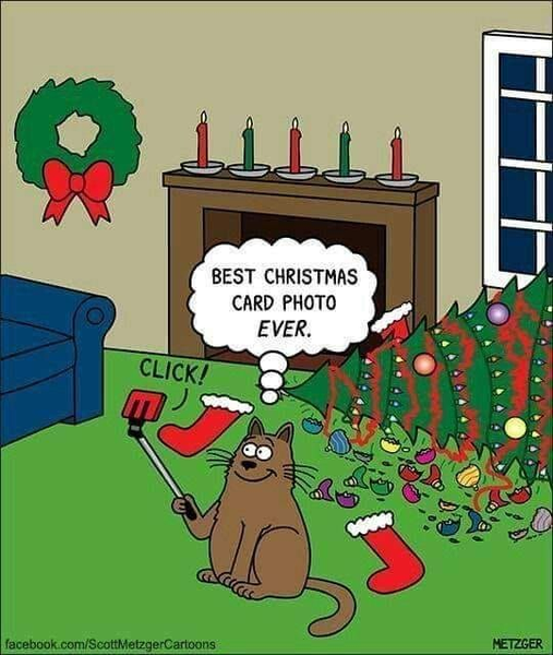 CatChristmasCard.png.f36a2a33fe261d524bd2a8f050cd0ab6.png