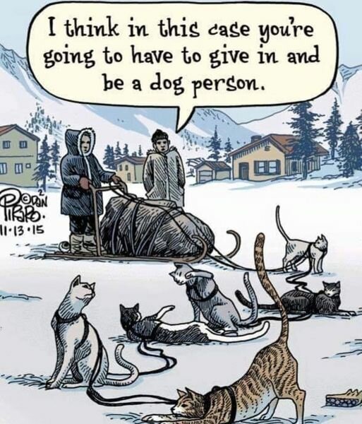CatDogPerson.jpg.17bd7137ac41bc4629d7d417f5aca587.jpg