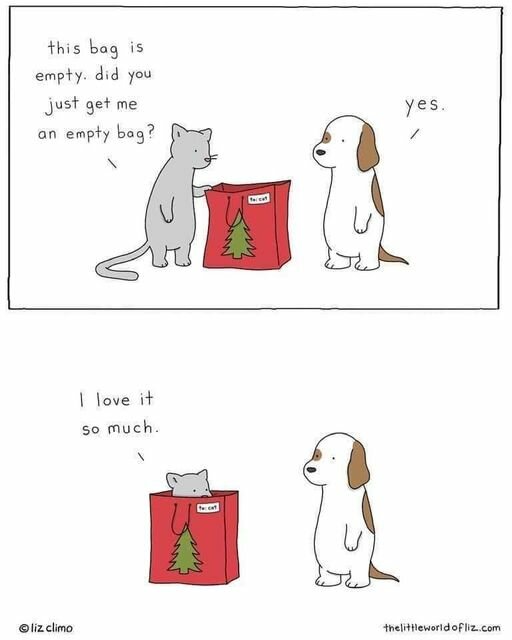 CatEmptyBag.jpg.0b01b2be1e0722d9b49a3382d8f64b43.jpg