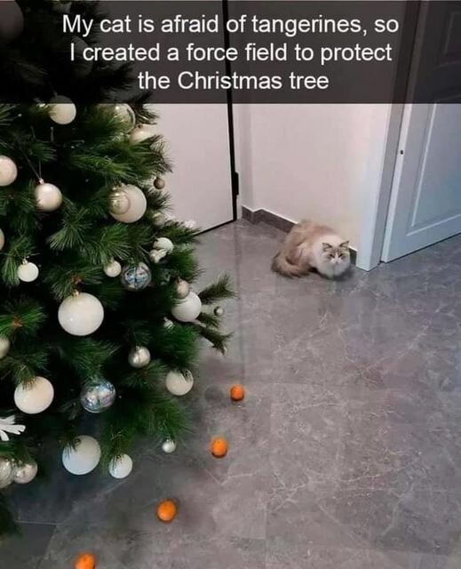 CatForceField.jpg.204d67759ae2bd341c09d9976b955094.jpg