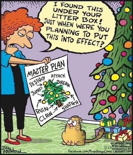 CatMasterChristmasPlan.png.73dfd3a84066f723f674ec89de2ed7dc.png