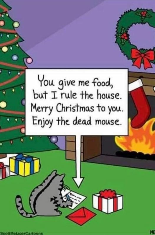 CatRule.jpg.d4b42cbcc3bb71f43d297208a74c65da.jpg