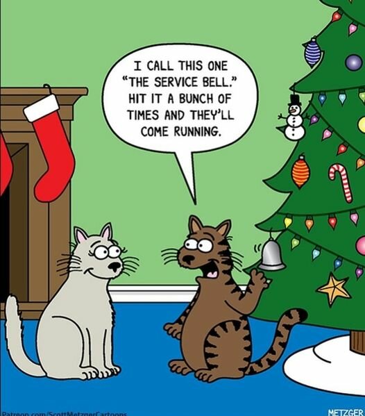 CatServiceBell.jpg.3f2e42281fe3068606edb6cddc08e26c.jpg