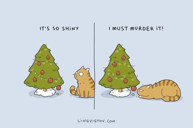 CatShinyMurder.jpg.13edc86d73d18aaacba2d56d2e1e3aa9.jpg
