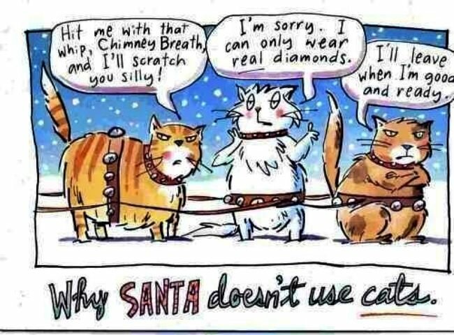 CatsSanta.jpg.72c451ba1fd0ce7ad3793ce21ba15d28.jpg