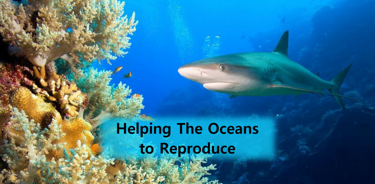 HelpingTheOceans.jpg.bc0e53f948561eb4685f5177d0fe00cb.jpg