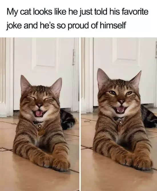 Joke.jpg.408fe70576ea60b47eb36fb5f332e879.jpg