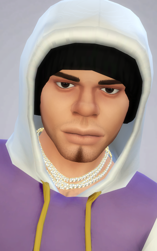 SALocoFace.png.a2c285c38c98d6b27f89734913de63ad.png