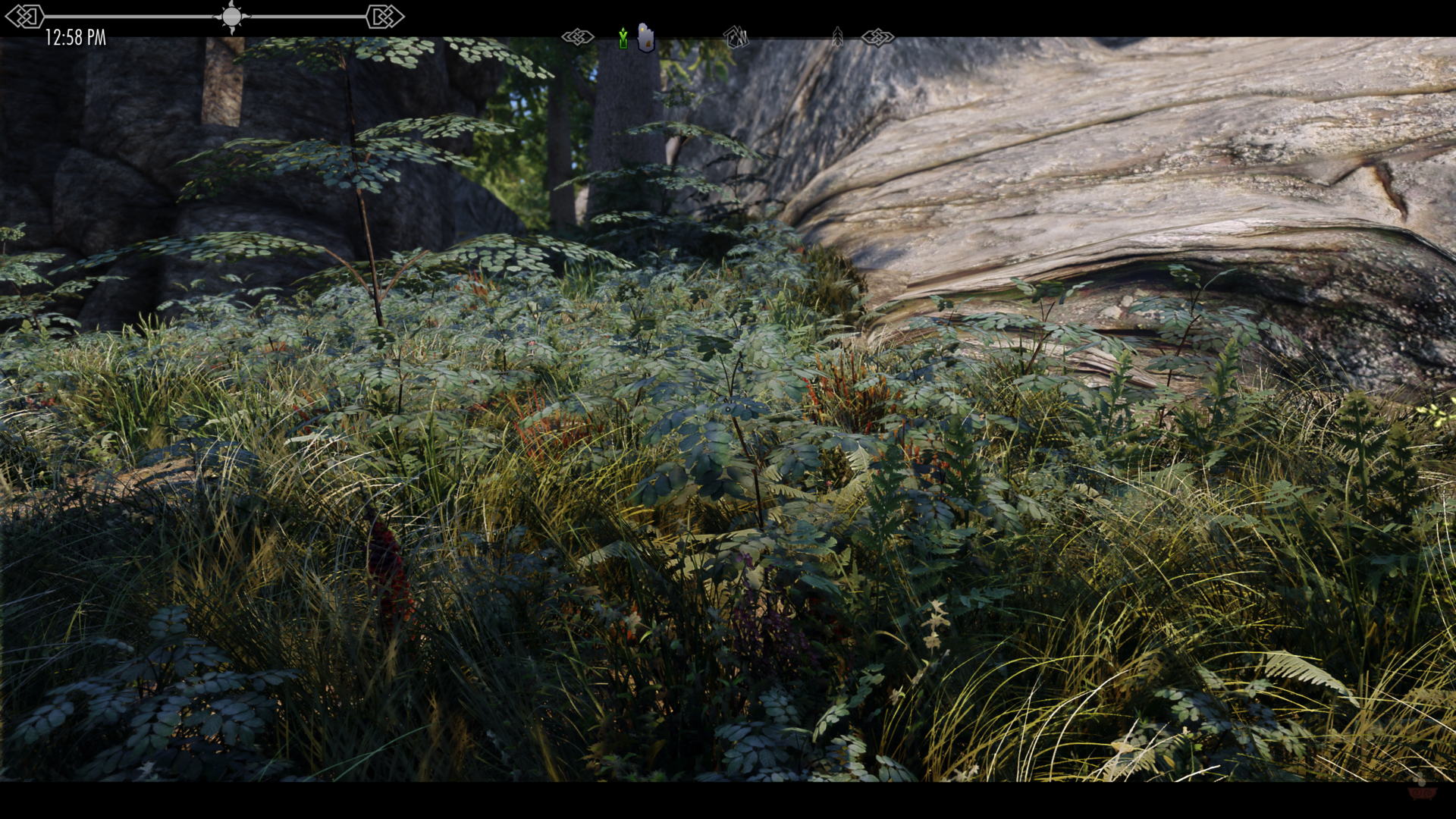 ScreenShot1.png