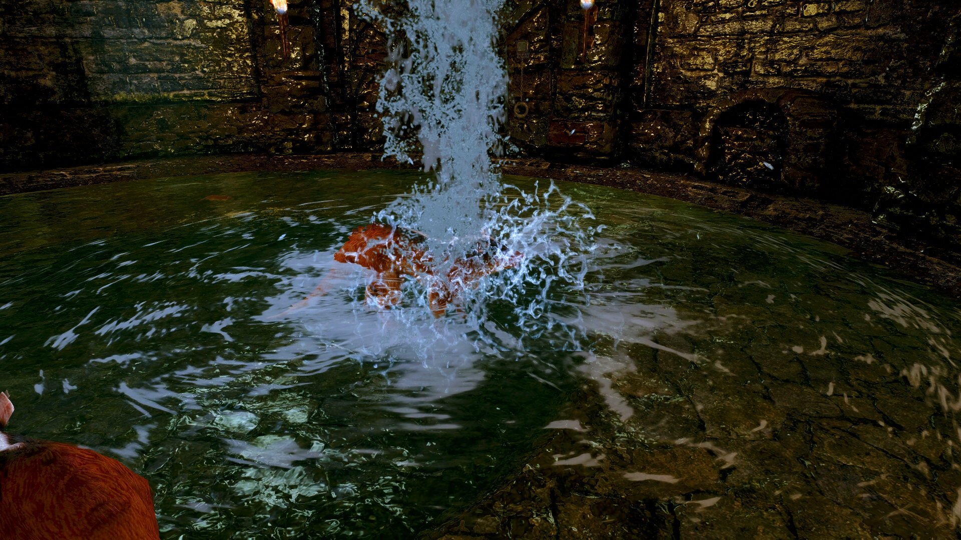 Skeever.jpg.507bb882cbc6f95f004e5ad601e9b5d8.jpg