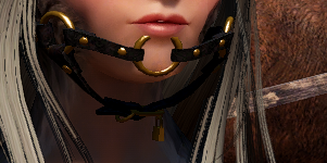 image.png.640ed069c2cd20c7f67aea8fe8bf1fd6.png