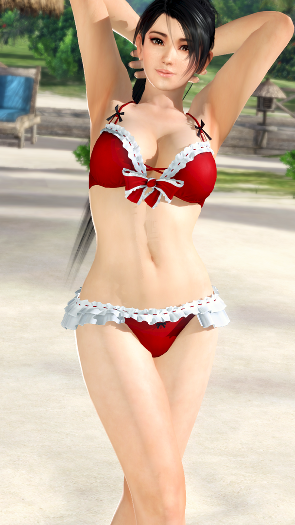 ryujinx_capture_2021-12-20_16-27-49.png