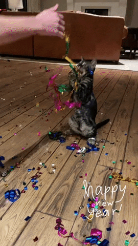 sfcw35r34eryef.gif.9d5a7563288c9696644d974571aa4751.gif