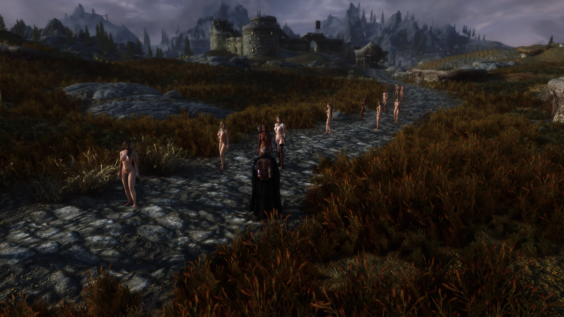 SkyrimSE 2022-01-08 12-43-02.png