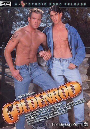 1372243867_goldenrod-studio-2000-_821-Kopie.jpeg.124d6b32fbef2fc161b4fc9c14359eba.jpeg