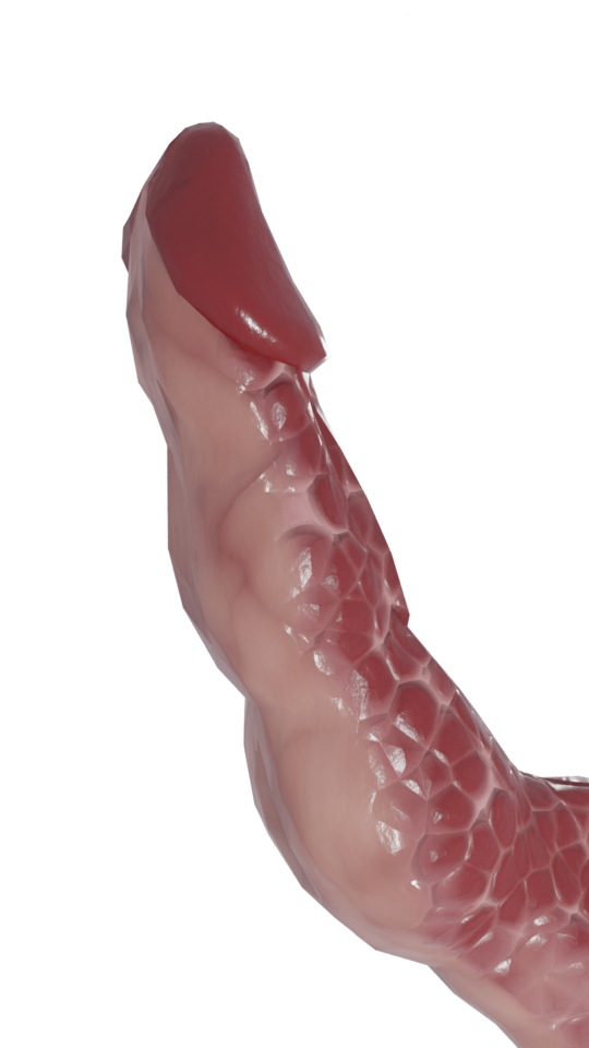 688003652_RegularPenis_small.png.5c0b945a95545c8301c3624bba5b943f.png
