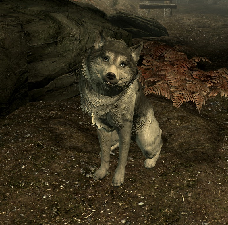 Husky.png.05a5509f75bfc6e0e605575460e97487.png