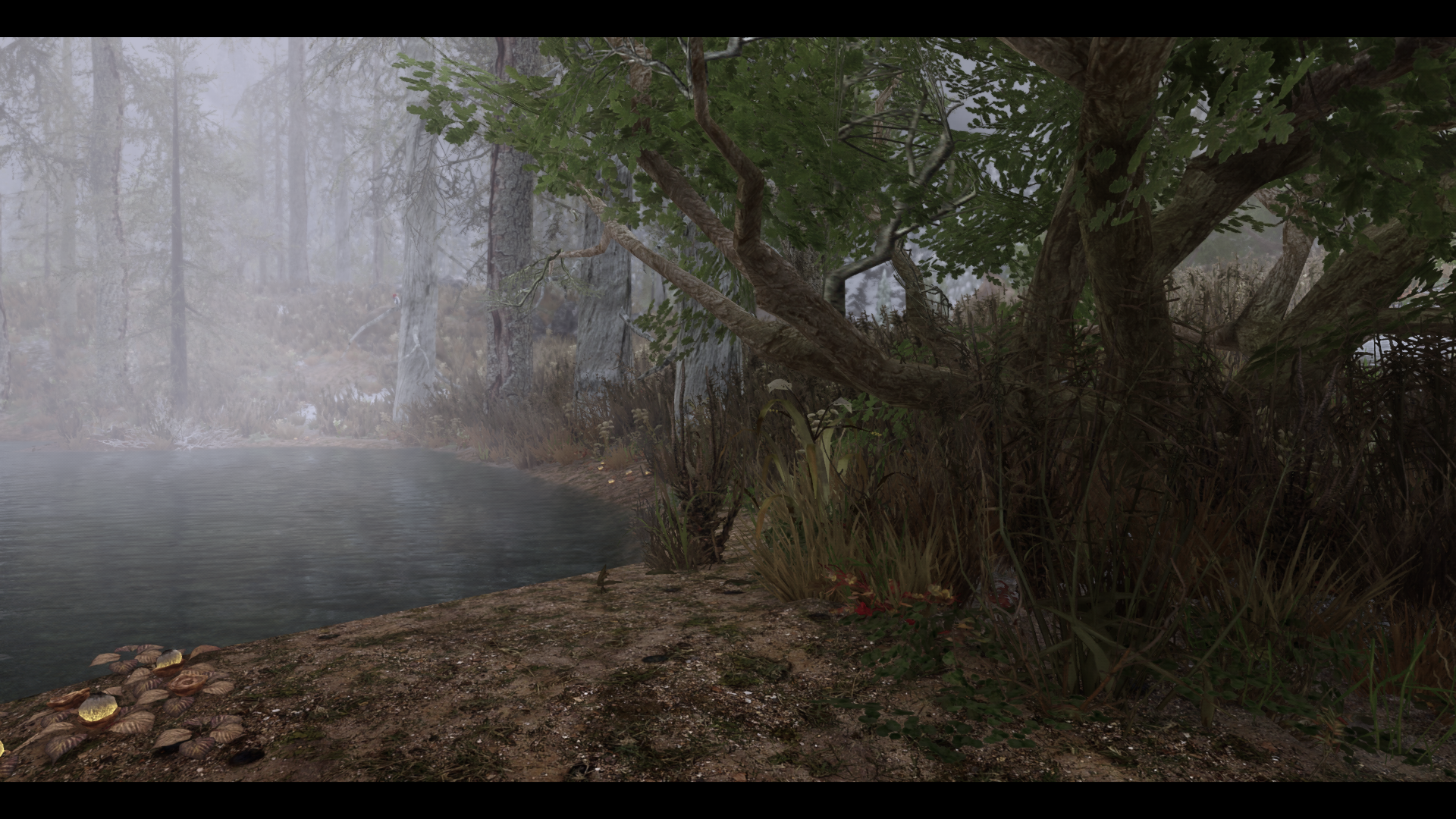 ScreenShot997.png.eb00c903c9445b1a2554c5a69576cbeb.png