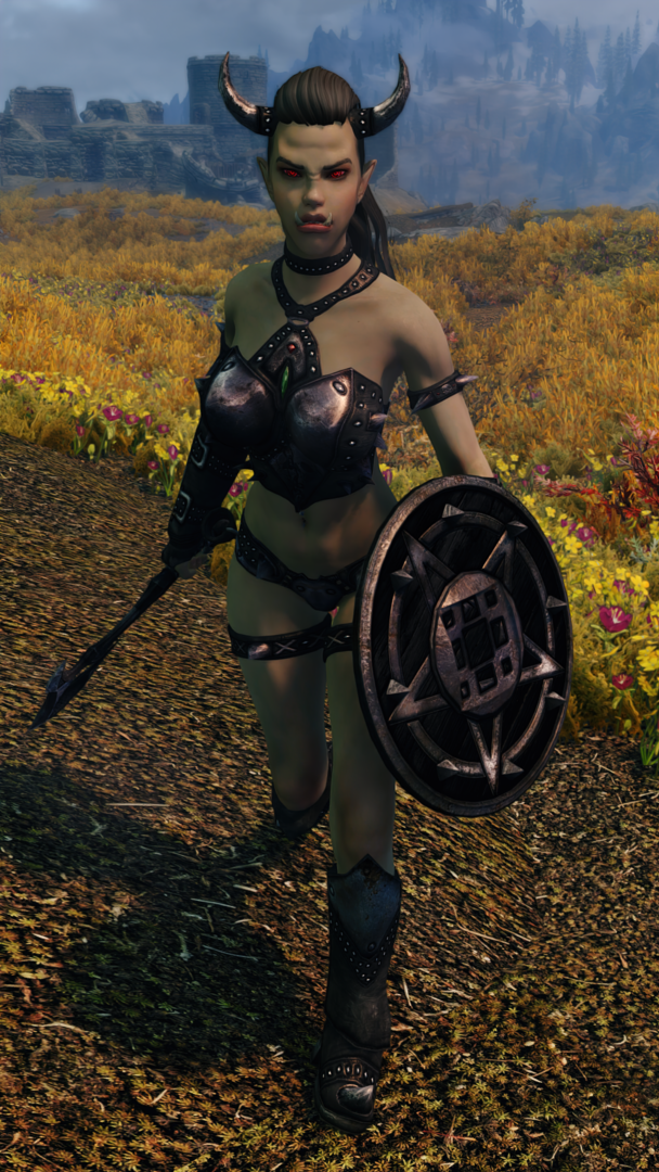 Skyrim678.thumb.png.45c50cec9c0a453d6c2fa6c66ea5f97f.png