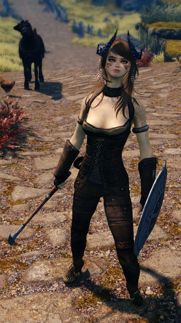 Skyrim7528.thumb.png.b7501ce4c9e1eaed8261108f53fb08dc.png