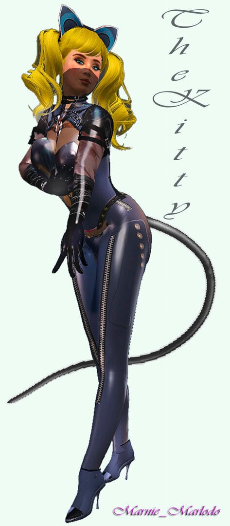 TheKitty_1.jpg