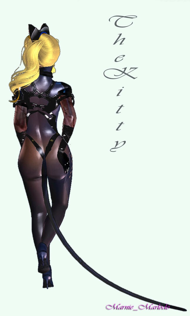 TheKitty_2.jpg